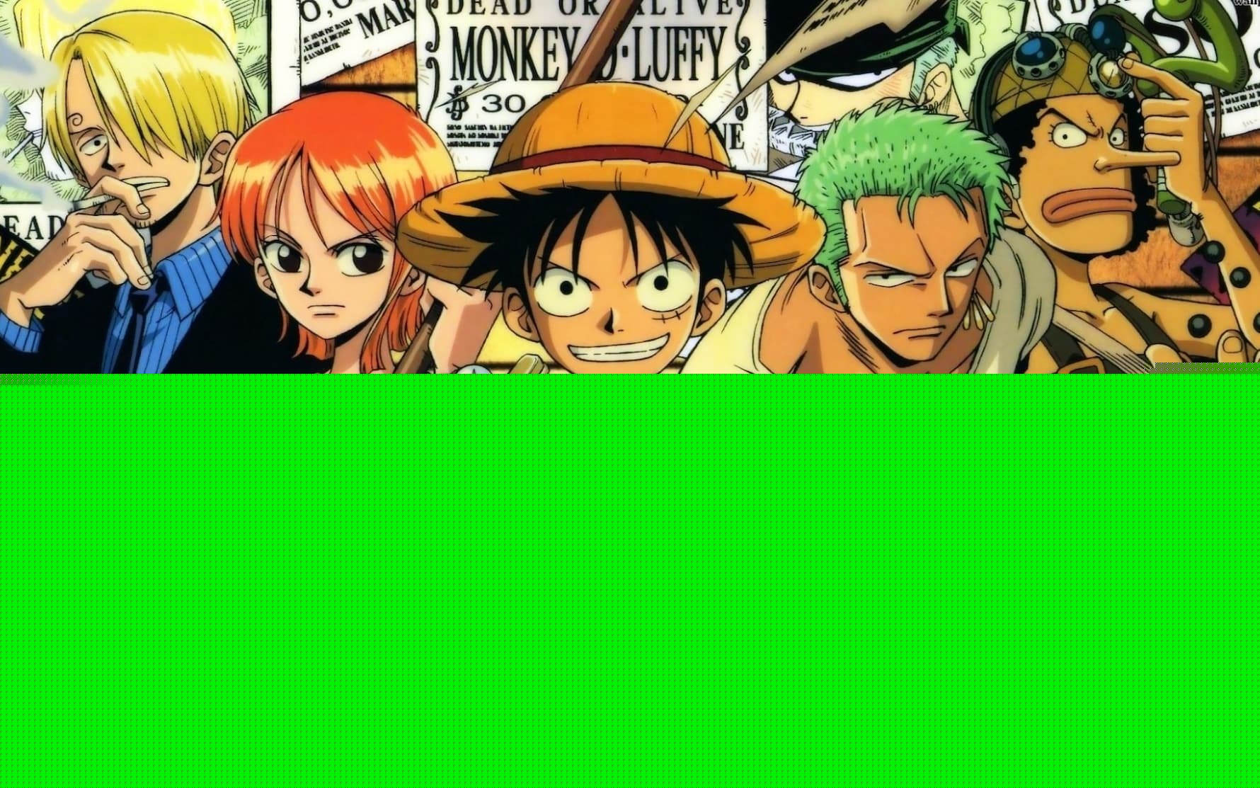 merchandising one piece