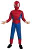 Imagen de Disfraz Insecto Musculoso Niño 3-4 años Viving Costumes
