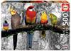 Imagen de Puzzle 500 Pájaros En La Jungla Educa