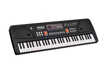Imagen de Organo 61 teclas con microfono toma usb y cable audio de Reig.