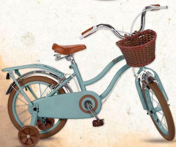 Imagen de Bicicleta 20" Vintage Verde 6/9 años Toimsa