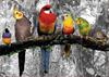 Imagen de Puzzle 500 Pájaros En La Jungla Educa