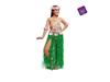 Imagen de Disfraz Hawaiana Chic 7-9 Años Viving Costumes