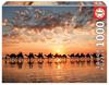 Imagen de Puzzle 1000 Atardecer Dorado en Cable Beach, Australia de Educa