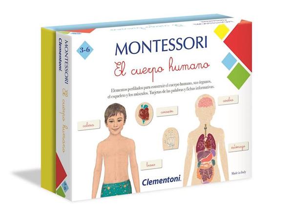 Imagen de Juego Montessori: El cuerpo humano