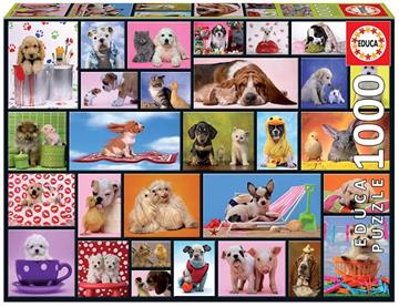 Imagen de Puzzle Educa 1000 Piezas 