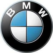 Imagen para la categoría BMW