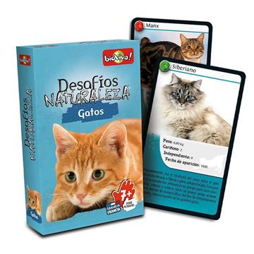 Imagen de Juego Desafío Gatos