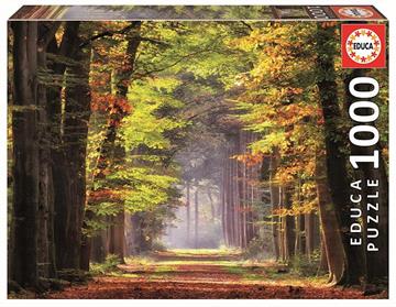 Imagen de Puzzle 1000 Piezas Paseo Otoñal 