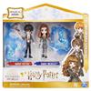 Imagen de Pack Figuras Harry Potter Harry Y Ginny Wizarding World