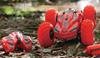 Imagen de Coche Aquabound Plus Radio Control Ninco