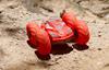 Imagen de Coche Aquabound Plus Radio Control Ninco