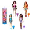 Imagen de Barbie Color Reveal Muñeca con Accesorios Sorpresas Modelos Surtidos