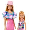 Imagen de Barbie Stacie al Rescate Pack 2 Muñecas con Accesorios Mattel