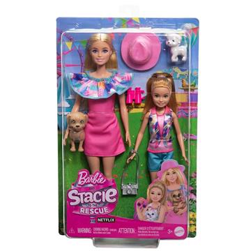 Imagen de Barbie Stacie al Rescate Pack 2 Muñecas con Accesorios Mattel