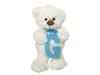 Imagen de Peluche Osito con letra G 23 cm Artesanías Beatriz