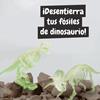 Imagen de Juego Excavaciones Fósiles Brilla en la Oscuridad