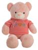 Imagen de Oso Peluche Sudadera Mati 100 Cm