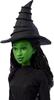 Imagen de Muñeca Coleccion Elphaba Thropp Musical