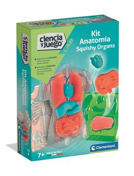 Imagen de Juego Anatomía Squishy y Organos. 21x15x5,5 cm
