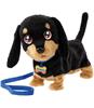 Imagen de Perro Salchicha Waggles