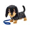 Imagen de Perro Salchicha Waggles