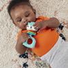Imagen de Sonajero Fisher Price Animal Anillo 