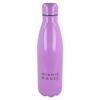 Imagen de Minnie Botella Acero Inoxidable 780 ML