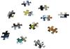 Imagen de Puzzle 300 piezas Foto de Clase Selfie Animales
