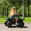 Imagen de Quad Boxer12V 