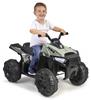 Imagen de Quad Boxer12V 