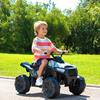 Imagen de Quad Boxer12V 