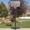 Imagen de Lifetime Canasta Baloncesto Polietileno