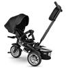 Imagen de Triciclo Premium 6-EN-1 