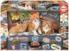 Imagen de Puzzle Gatitos Viajeros 200 Piezas