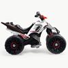 Imagen de Quad Eléctrico Mercedes