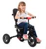 Imagen de Urban Trike Plegable Azul