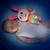 Imagen de Conejito Rosa Gusyluz  Friends