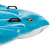 Imagen de Flotador Hinchable Diseño Raya 185x145 cm Intex