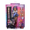 Imagen de Muñeca Monster High Muñeca Robecca Doll. Incluye Mascota y 7 accesorios.