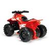 Imagen de Quad Tinny Rider 6V. 60 X 41,5 X 41 Cm