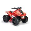 Imagen de Quad Tinny Rider 6V. 60 X 41,5 X 41 Cm