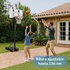 Imagen de Canasta Baloncesto con pie, balón hinchable e hinchador 74x236x73cm