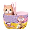 Imagen de Gatita Mama Surprise Kitty - Little Live Pets