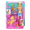 Imagen de Muñeca Barbie Patina Y Corre Con Perrito.
