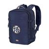 Imagen de Mochila Mercury Dragon Ball Symbol 33 x23 x47 cm