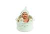 Imagen de Muñeca Elegance 26 Cm Lupi Mint C/Canastilla (Cuerpo Vinyl)