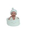 Imagen de Muñeca Elegance 26 Cm Lupi Mint C/Canastilla (Cuerpo Vinyl)