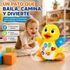 Imagen de Pato Bailarín actividades con luces y sonidos, 4x16'7x11'5cm