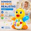 Imagen de Pato Bailarín actividades con luces y sonidos, 4x16'7x11'5cm
